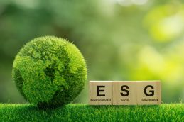 Um planeta terra feito de grama ao lado de três blocos de madeira com as letras ESG entalhados e o significado de cada letra da sigla